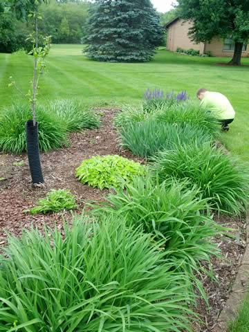 Iowa Service Areas near me Lawn Care Property Management