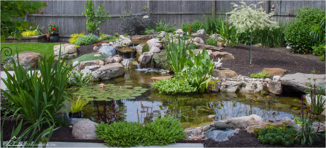 Koi Pond Installation Services