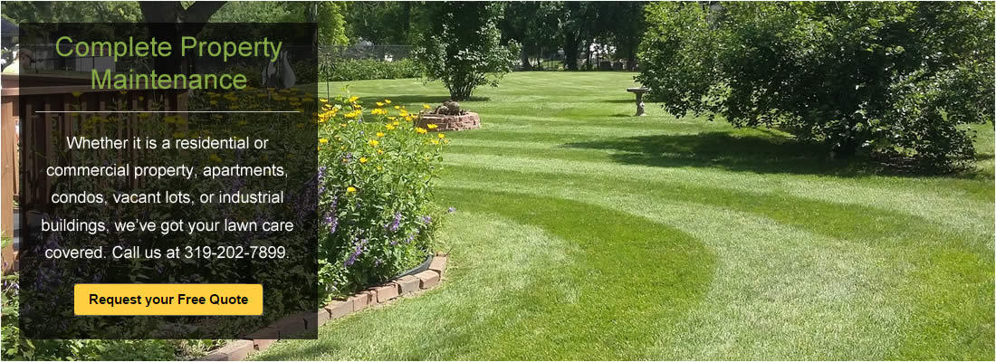 Lawn Care and Maintenance